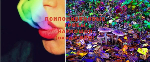 индика Белоозёрский