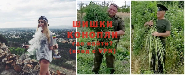 индика Белоозёрский