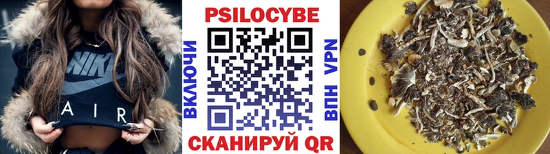 где купить наркоту  Буйнакск  Галлюциногенные грибы прущие грибы 